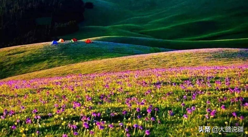 端午适合去哪里露营,端午假期露营首选