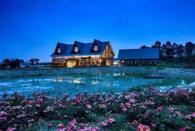 农村小伙靠200元发家致富,农村80后小伙创业年入近千万