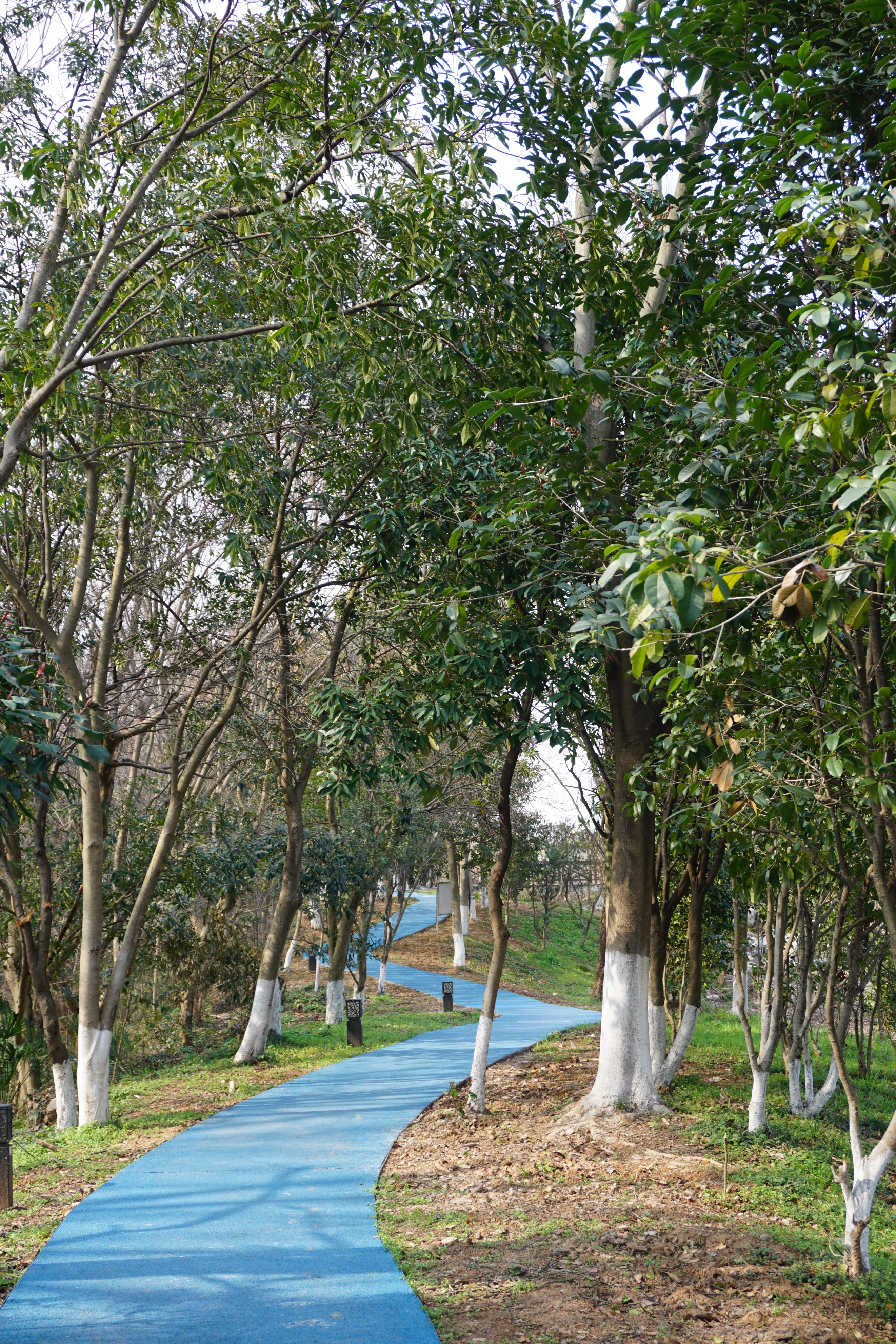 南京人看杭州,南京紫金山庄在哪里