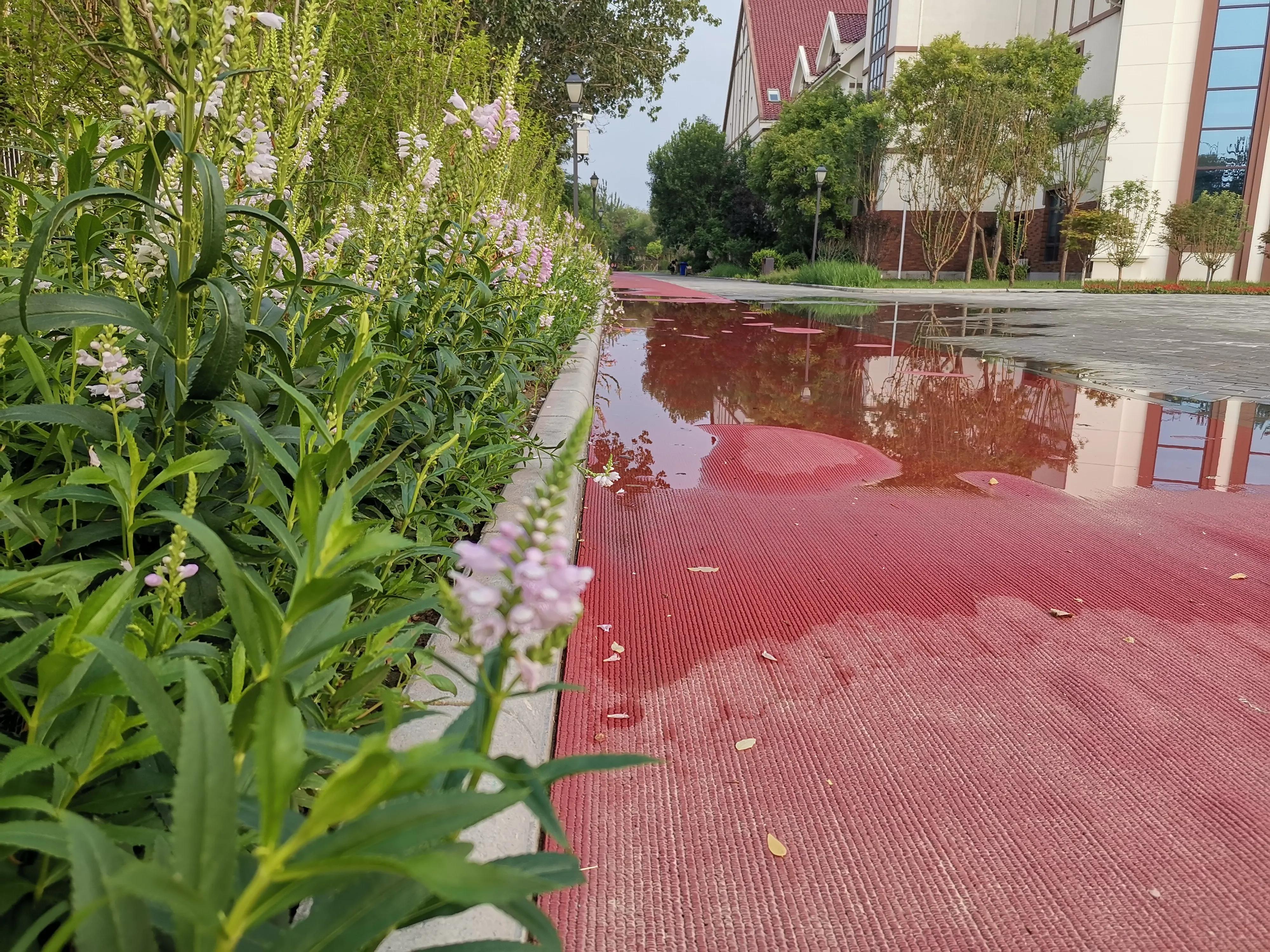天津适合健身的公园,天津全民健身日
