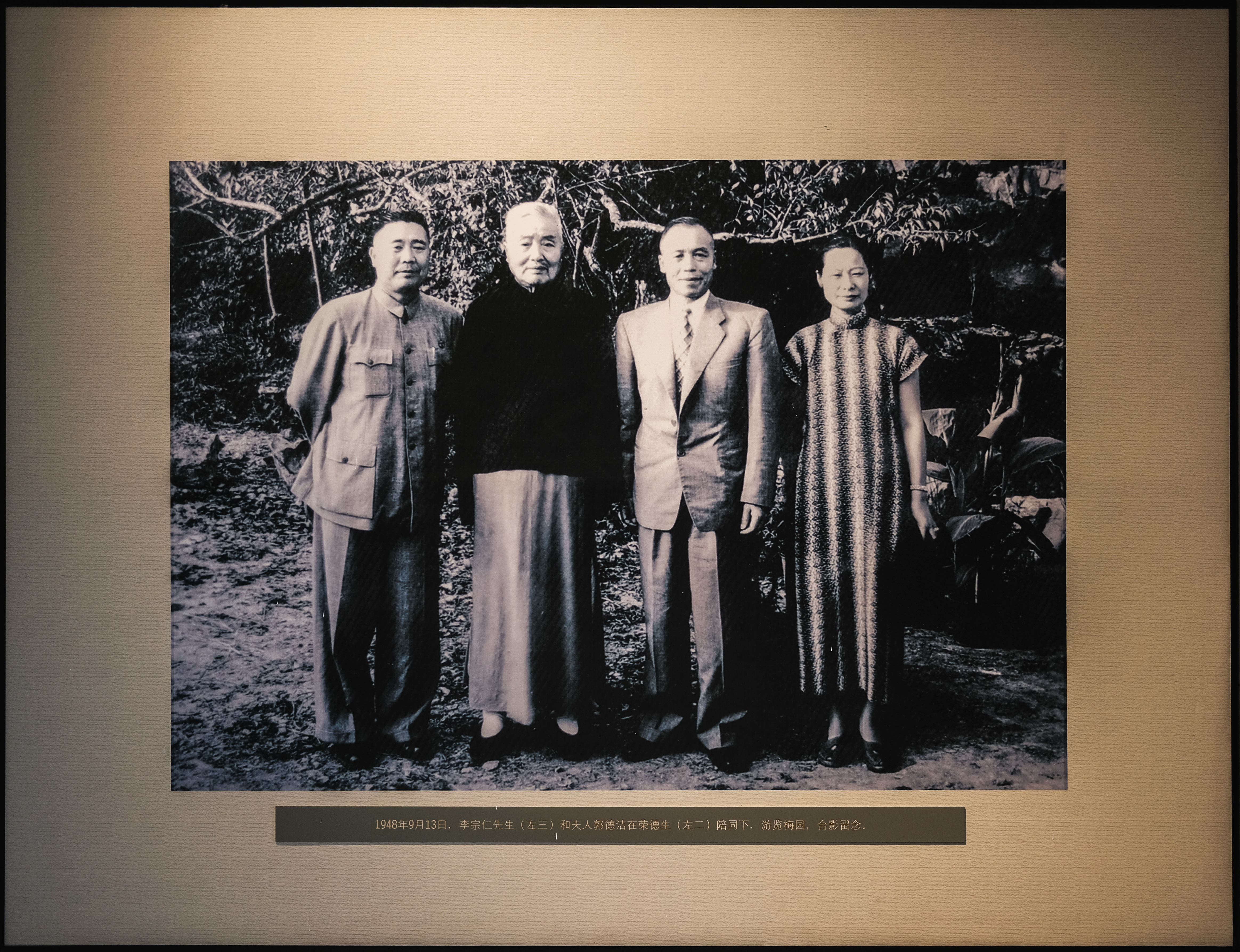 老梅园，你没有游览到；你游览的只是新梅园