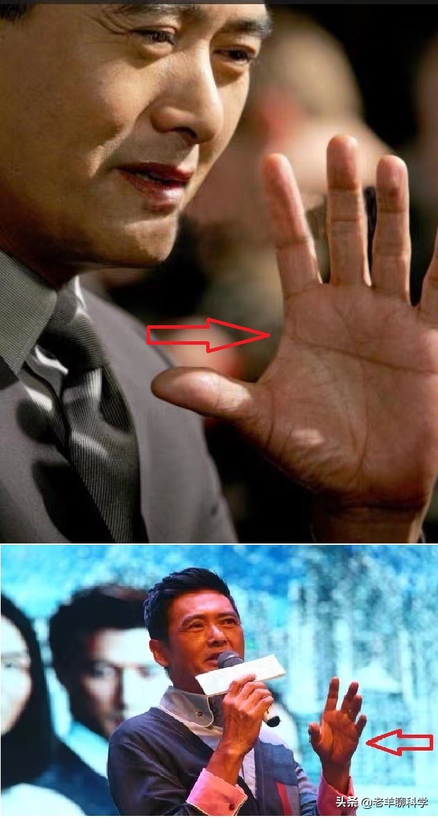 关于断掌纹的民间说法,断掌纹的性格有科学依据吗