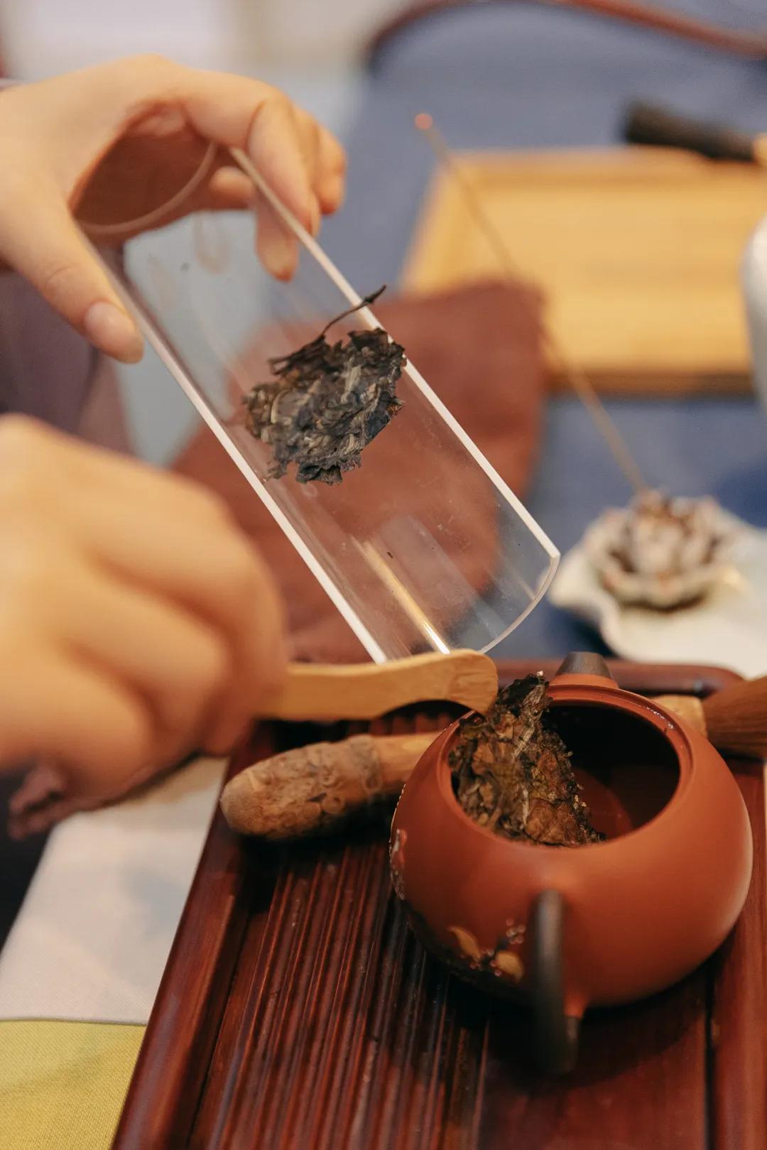 诗酒茶田、梦居藏马，体验近在咫尺的诗和远方——阿朵花屿