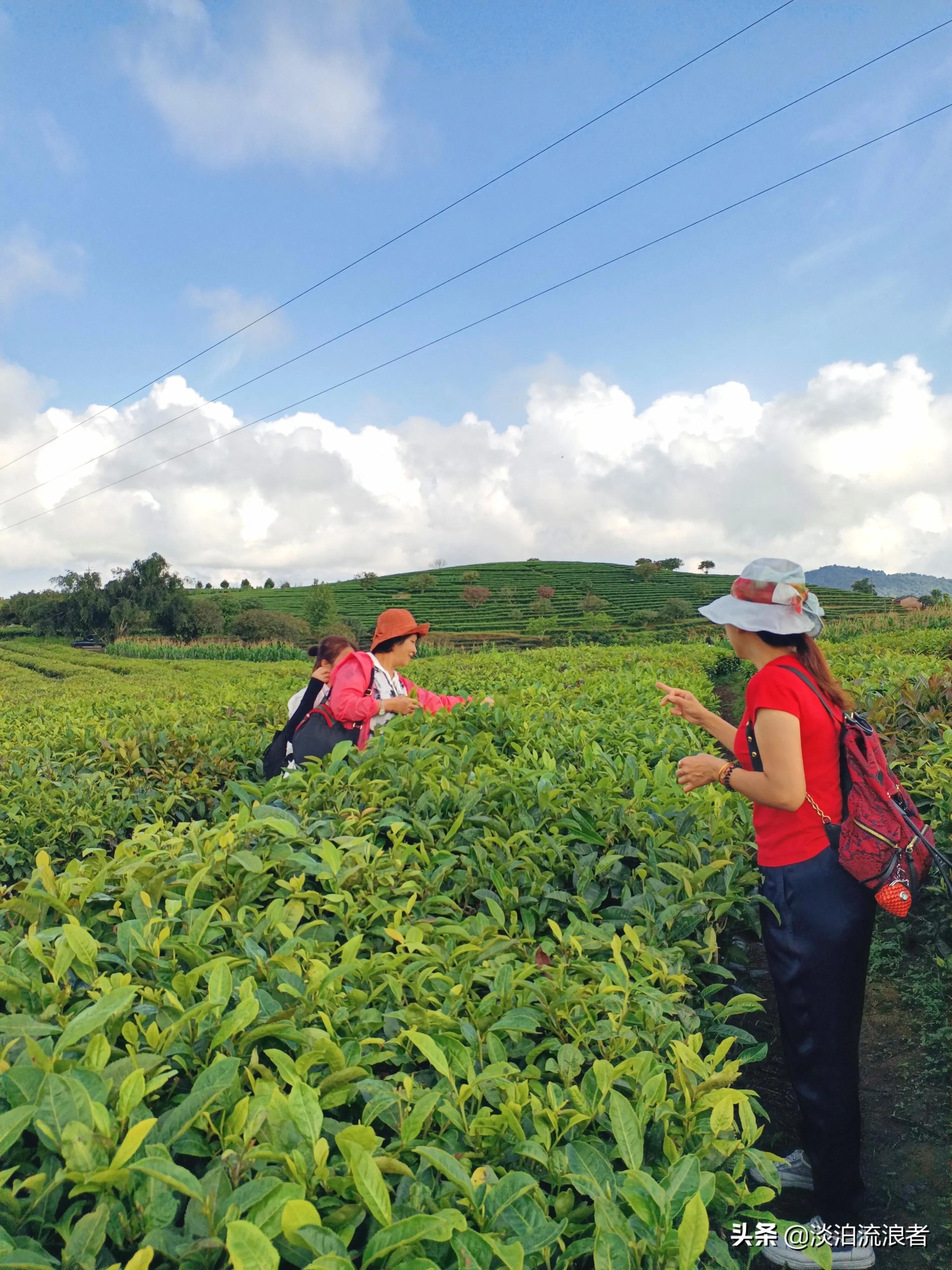 得闲去散散步,散步去云南