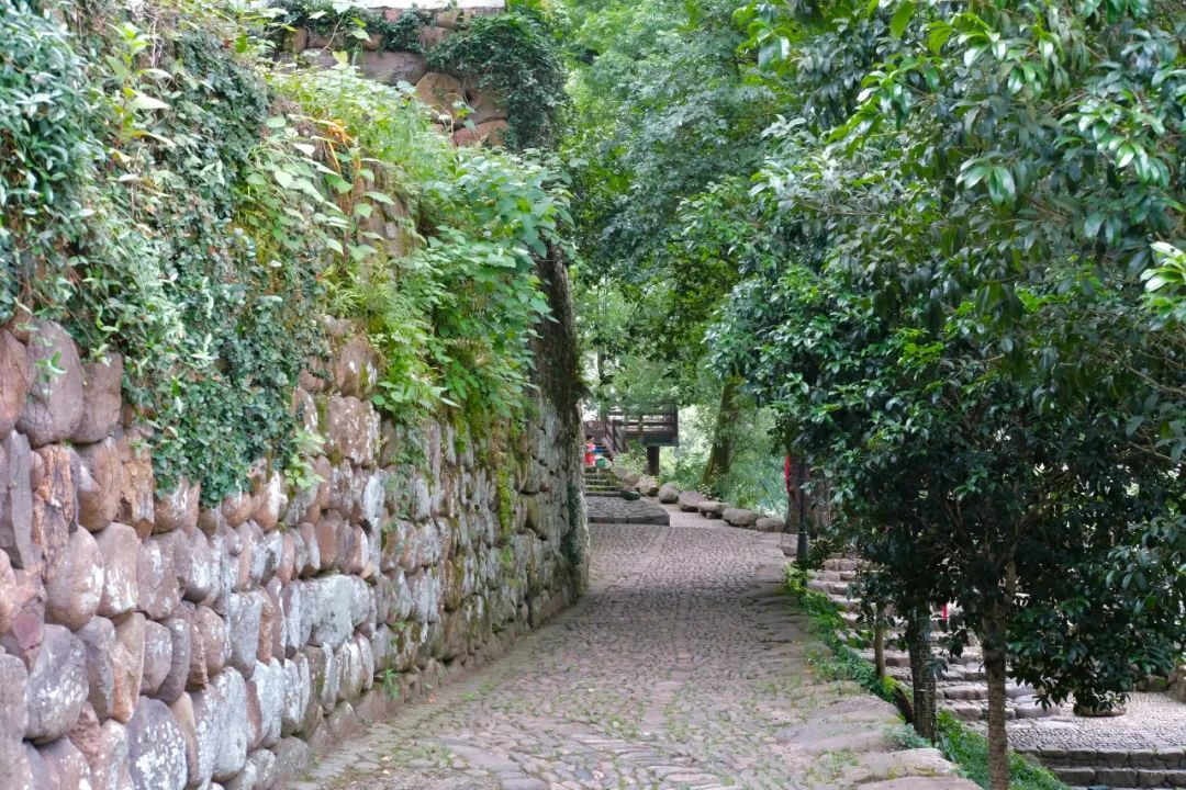 杭州冬日旅游自驾,杭州周边避暑两日自驾游攻略