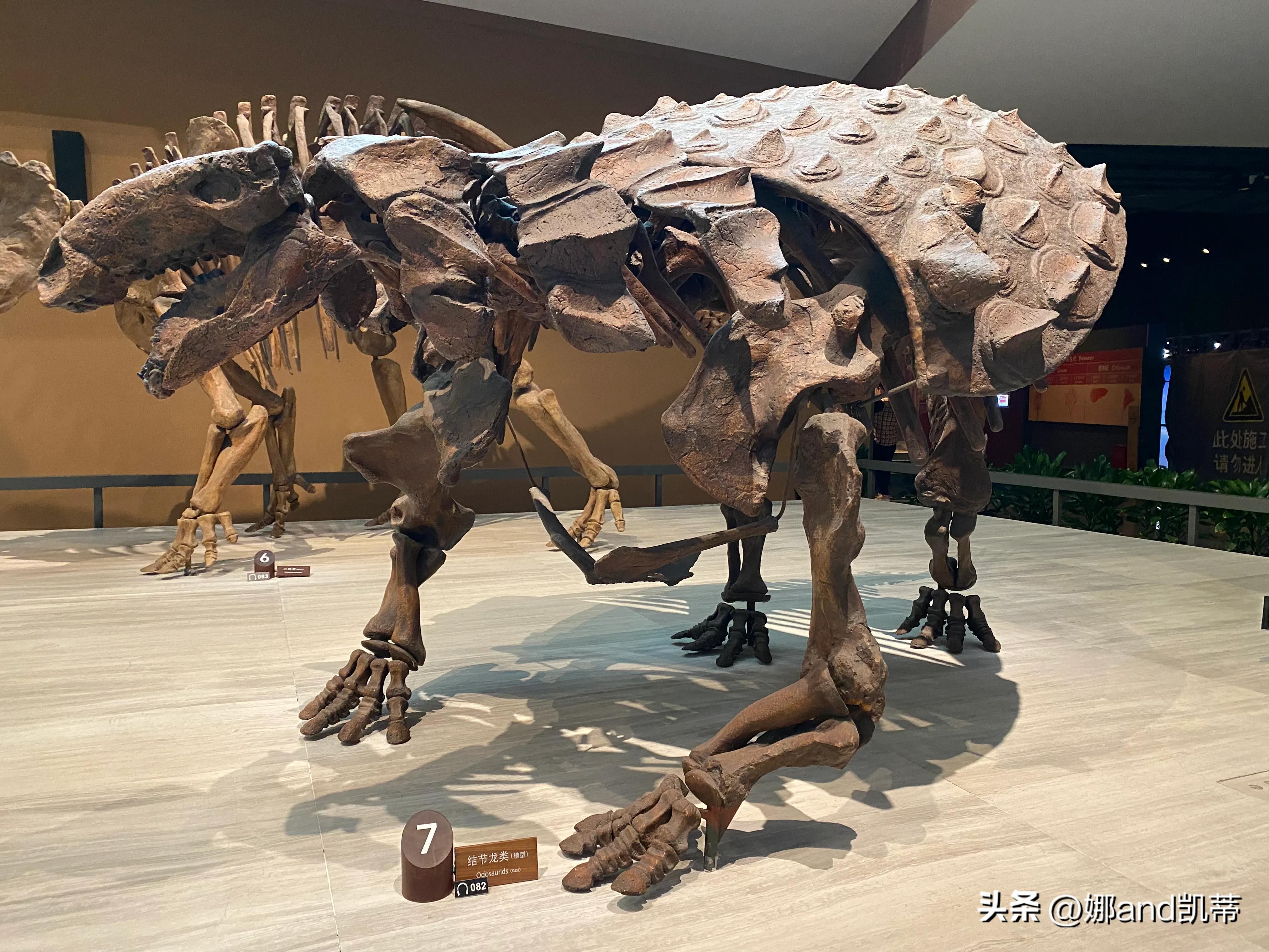 苏州高铁到上海自然博物馆攻略,最新苏州到上海自然博物馆怎么走