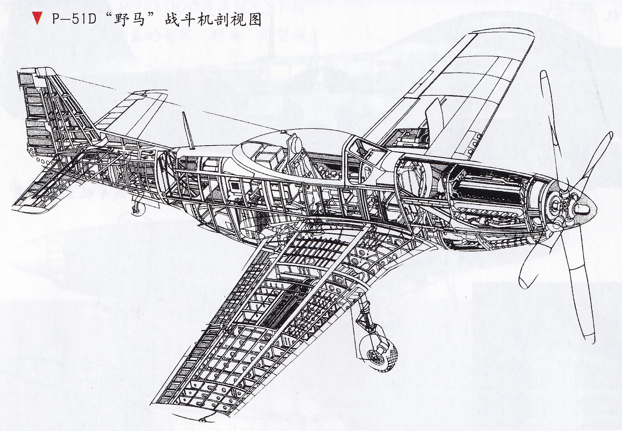 野马p26战斗机,野马家庭版