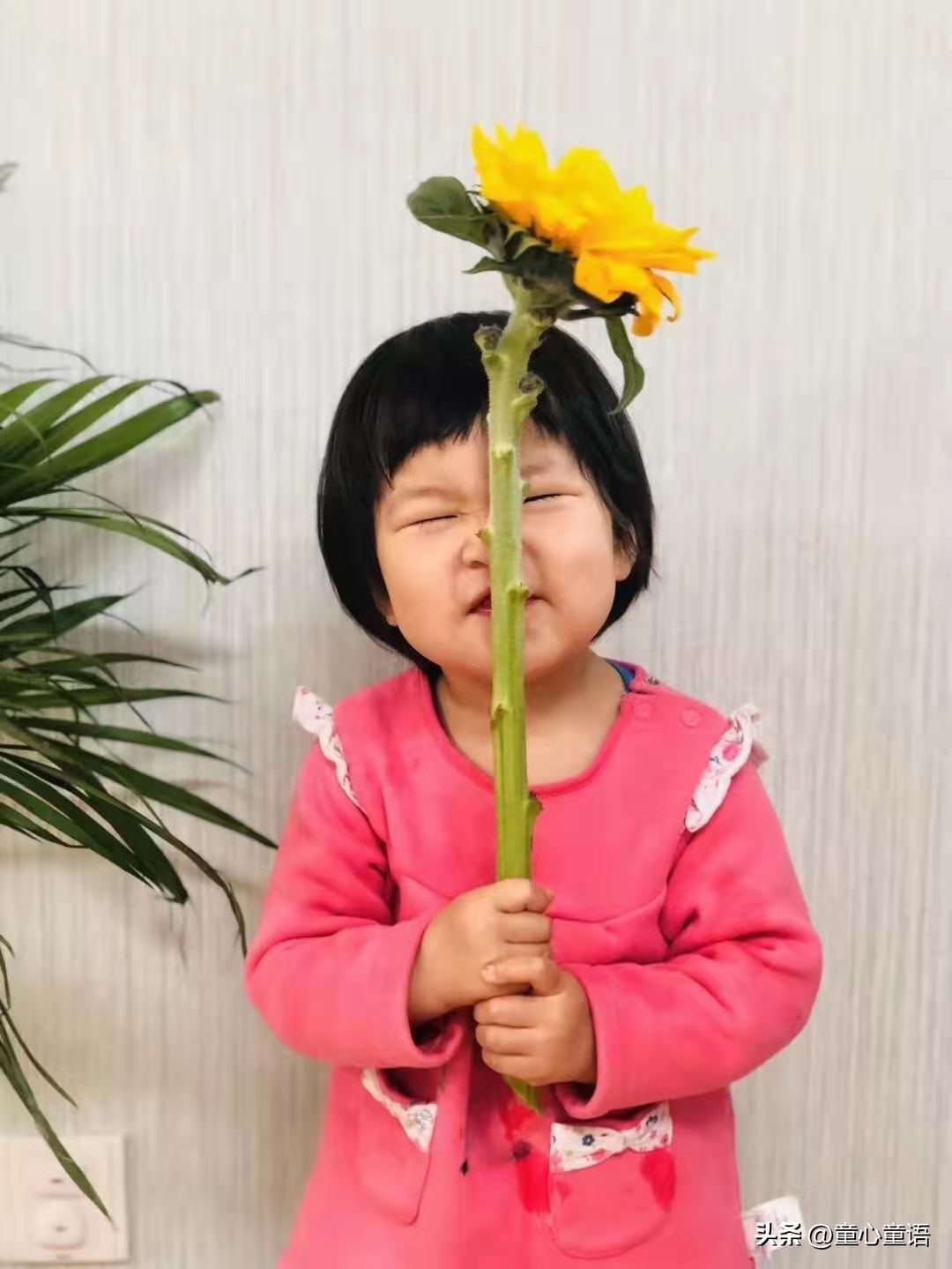 童心童语讲故事视频,北京童心童语蒙台梭利