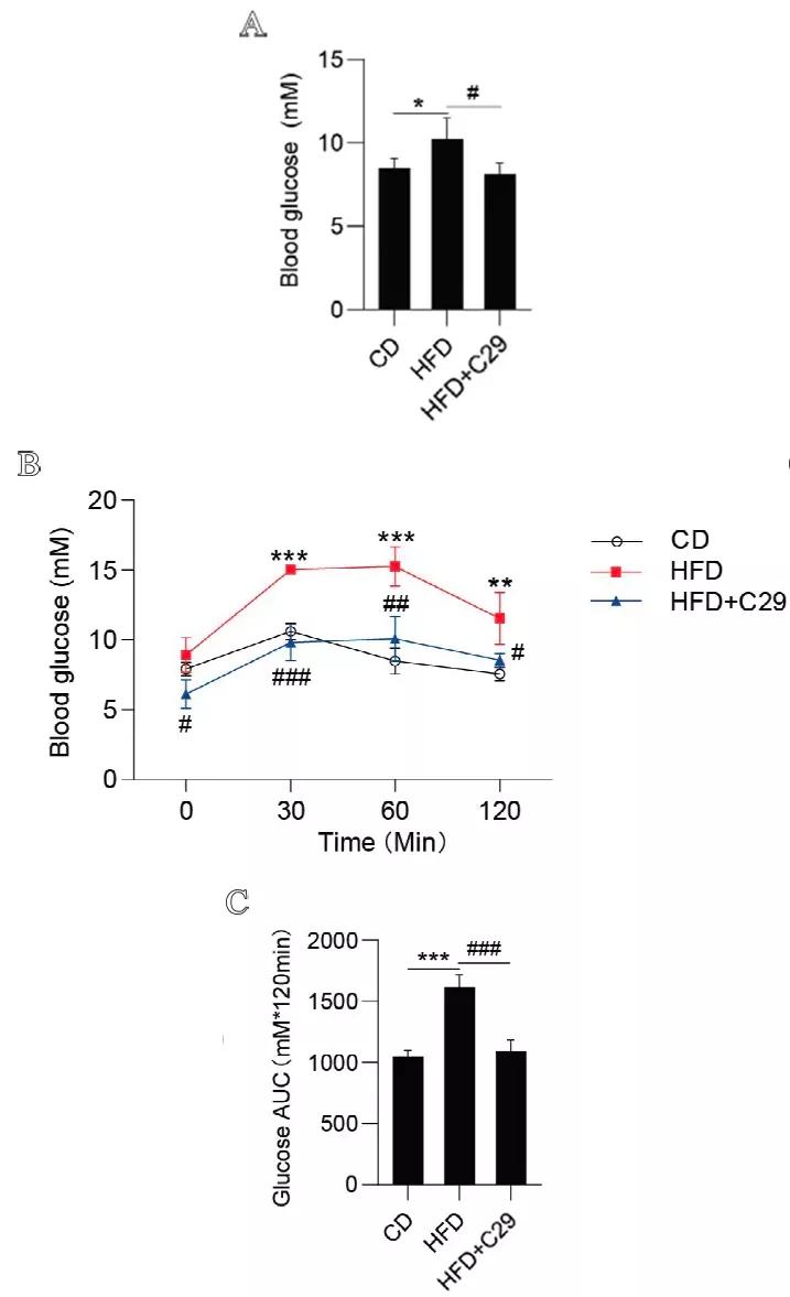 ERRα拮抗剂Compound29抑制破骨细胞改善肥胖引起的骨丢失
