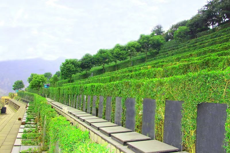 真武山公墓和卧龙寺公墓如何选择,成都市公墓陵园