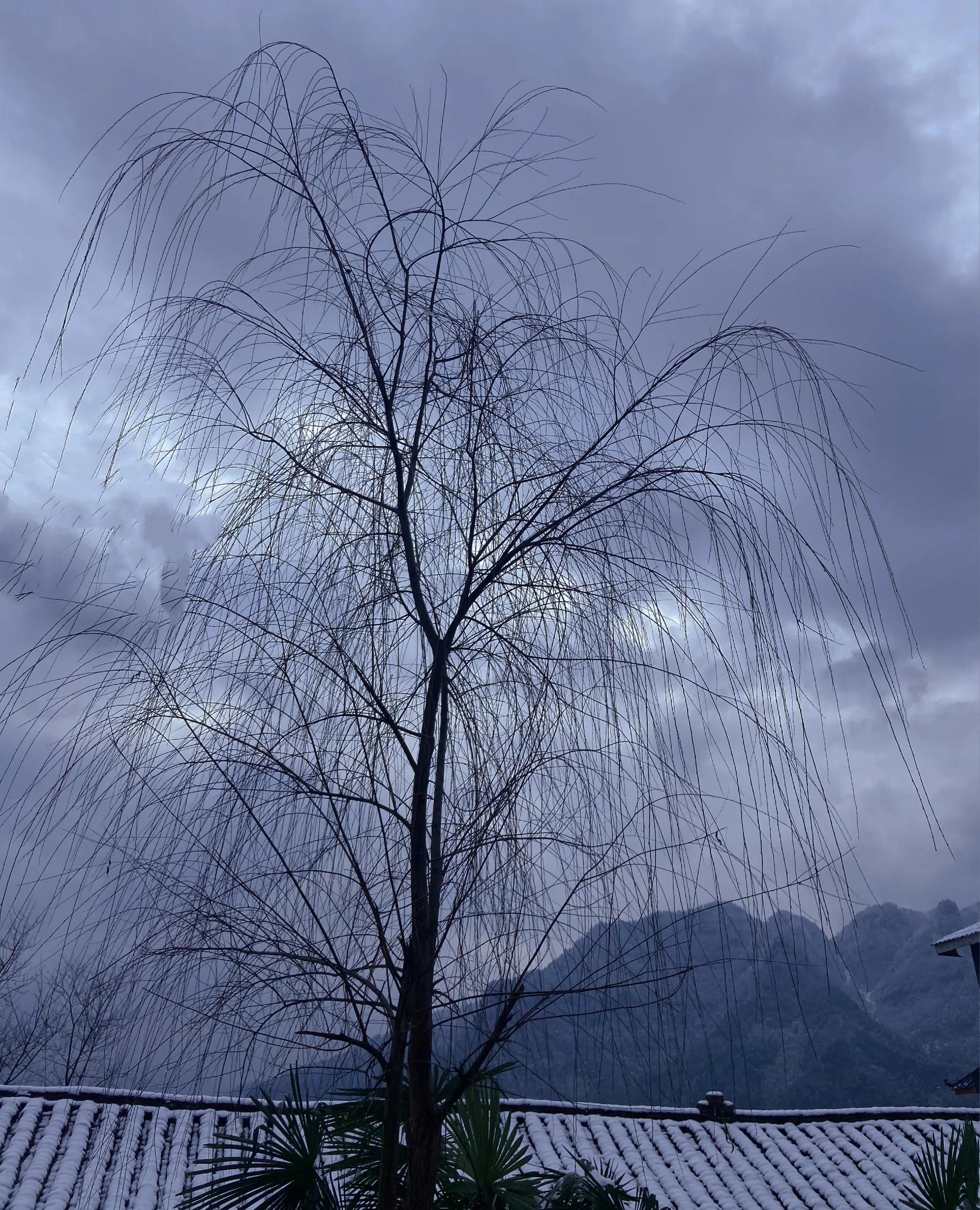 纳兰性德经典诗词风一更雪一更,纳兰性德经典诗词谁念西风独自愁