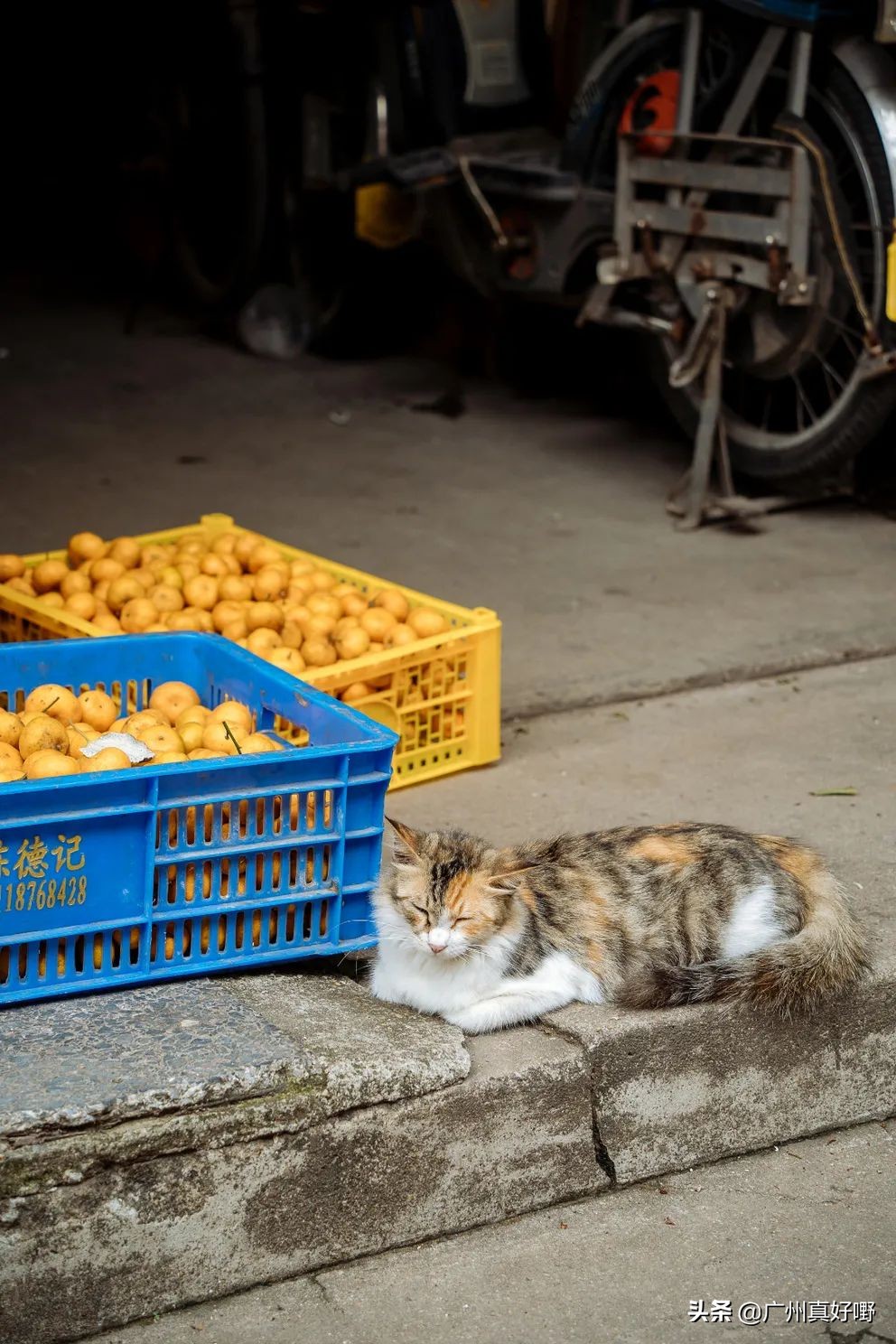 2019广州十大浪漫约会圣地,广州适合情侣去看海的地方
