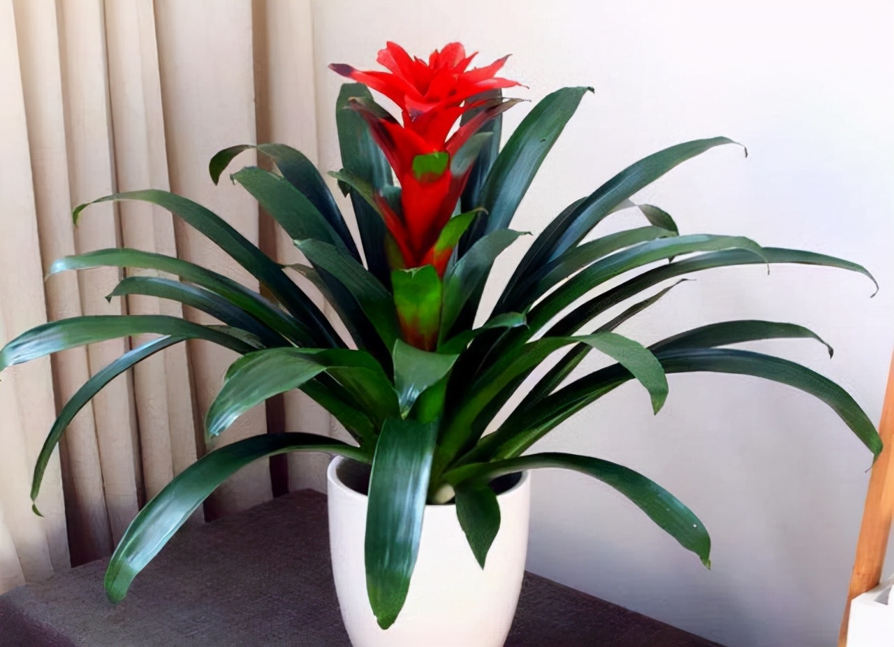 琚獥浜嗕竴娆″氨寰堥毦鎵惧洖鏉ヤ簡,琚獥鍚庤姳浜嗕竴骞磋蛋鍑烘潵