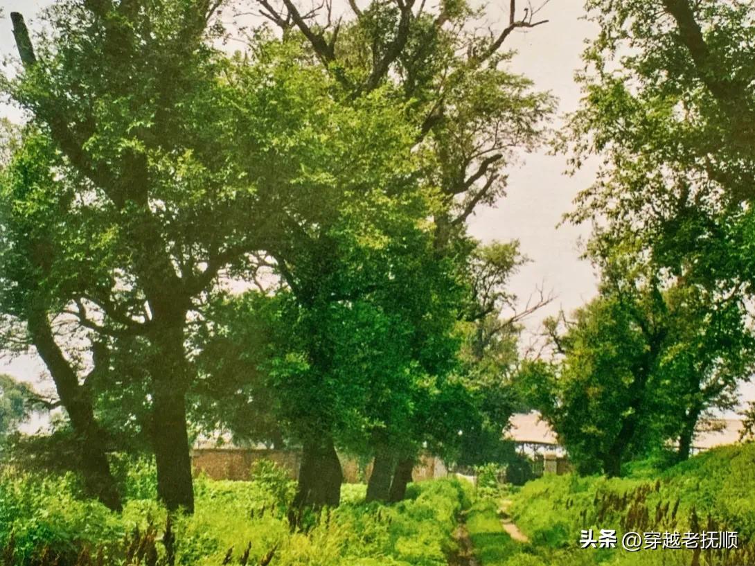 抚顺高湾好玩的地方,抚顺高湾老照片