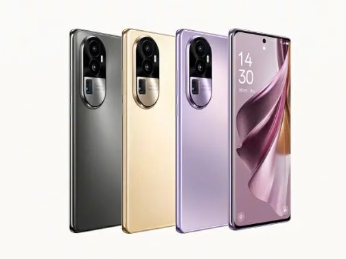 养猫必备好物清单,不贵又实用的养猫好物分享