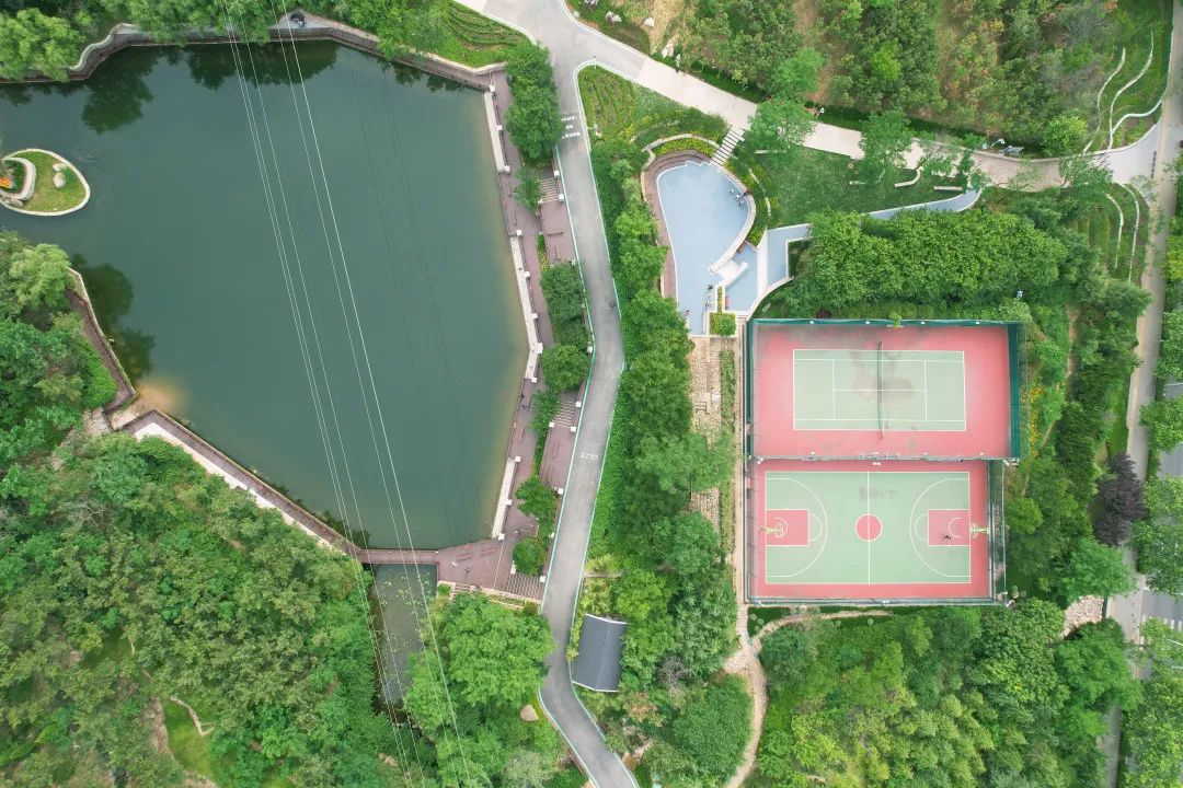 青岛浮山森林公园好玩吗,青岛浮山森林公园开放时间