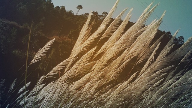 淘宝天猫电商运营,淘宝运营教程淘宝大学