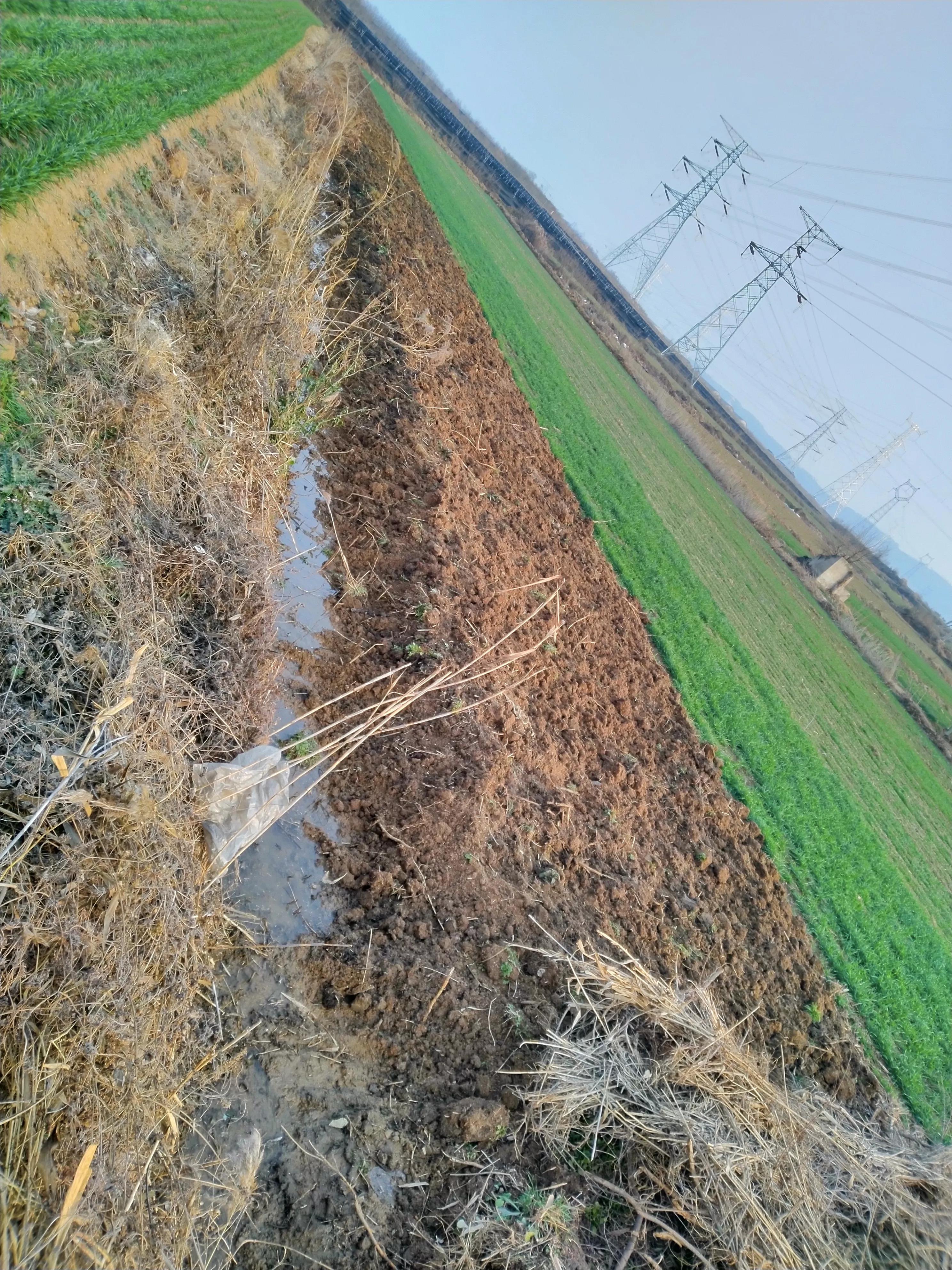 律师创收100万在律师行业水平,律师年创收三十万实际能拿多少钱