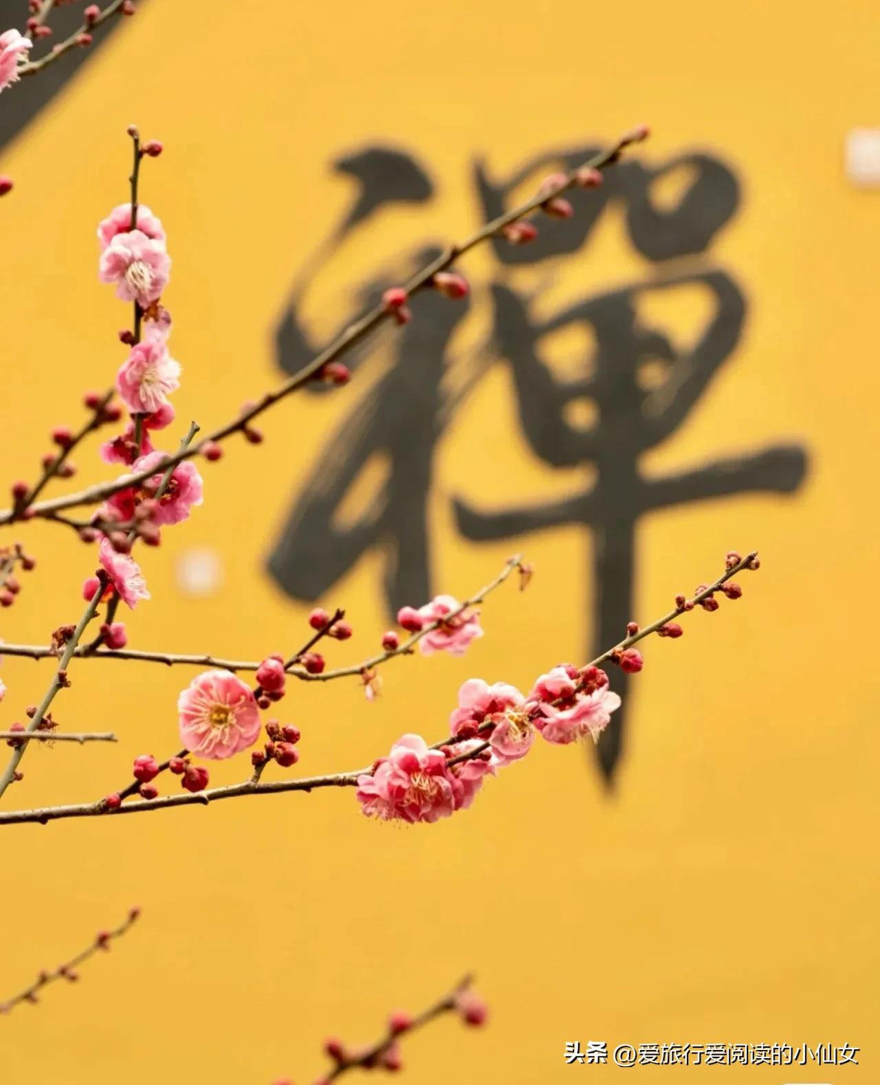 杭州旅游景点大全免费,杭州富阳免费景点大全