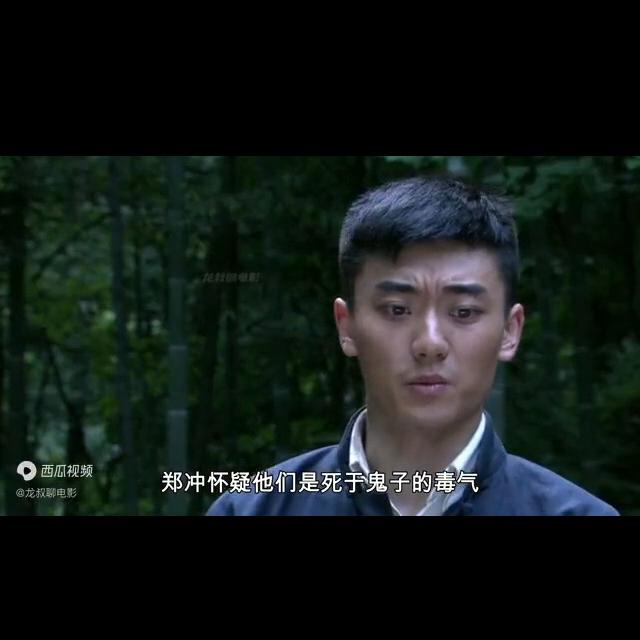 铁观音批发散装,铁观音茶叶批发厂家