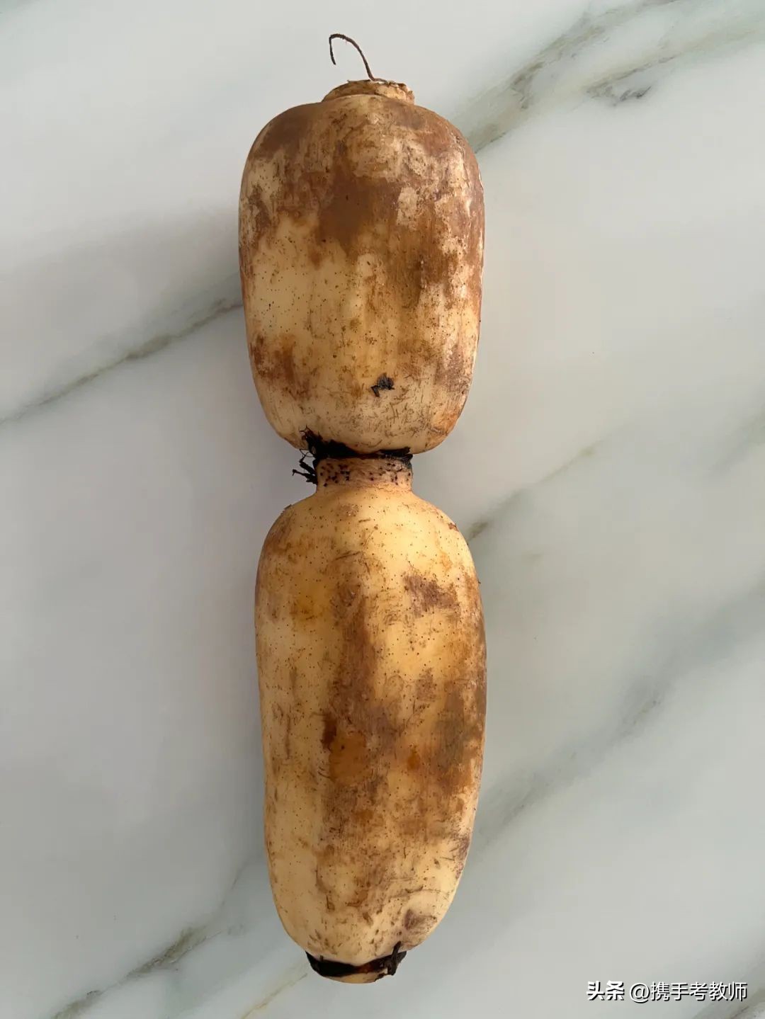 教师资格综合素质艺术常识大汇集,教师资格考试综合素质艺术常识