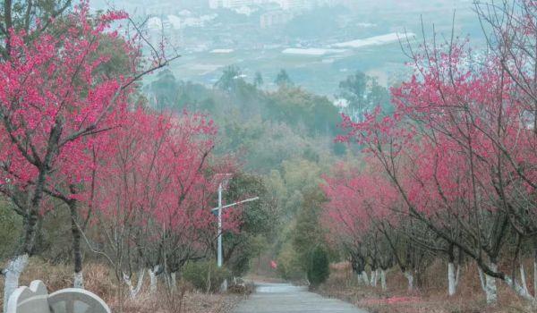 最具有发展潜力的项目,15个高质量项目