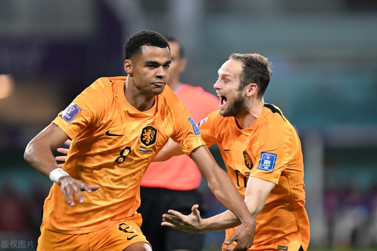 荷兰范戴克防守能力,范加尔能否带领荷兰队