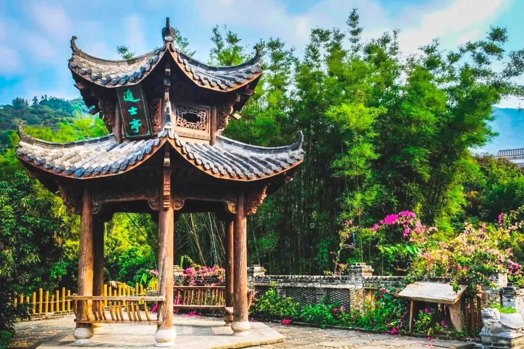 从化东成荷花园,从化摘荔枝之旅