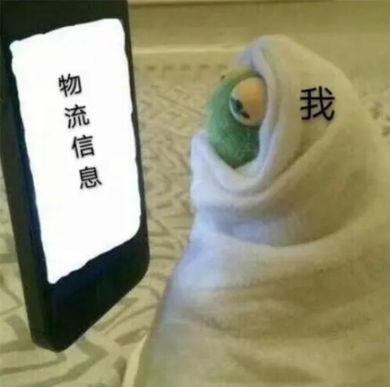 今天3.15，来看看荷兰人遇到假货都怎么办？