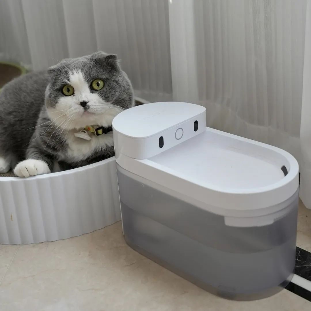 10件提升幸福感的居家好物推荐,十件提升幸福感的居家好物