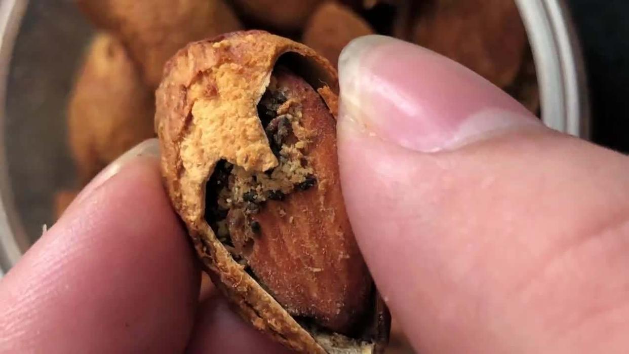 黄鱼是发物吗癌症患者能吃吗,牛肉鱼是发物癌症病人能吃吗