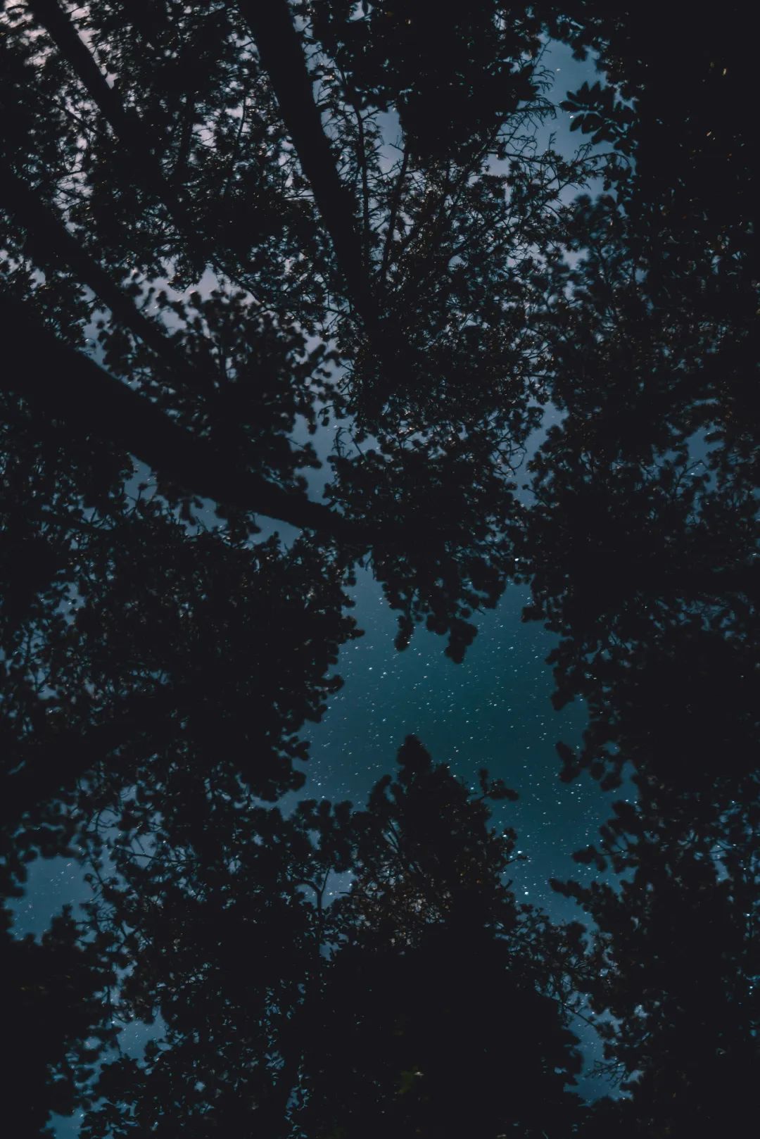 杭州临安大明山攻略,临安大明山游记