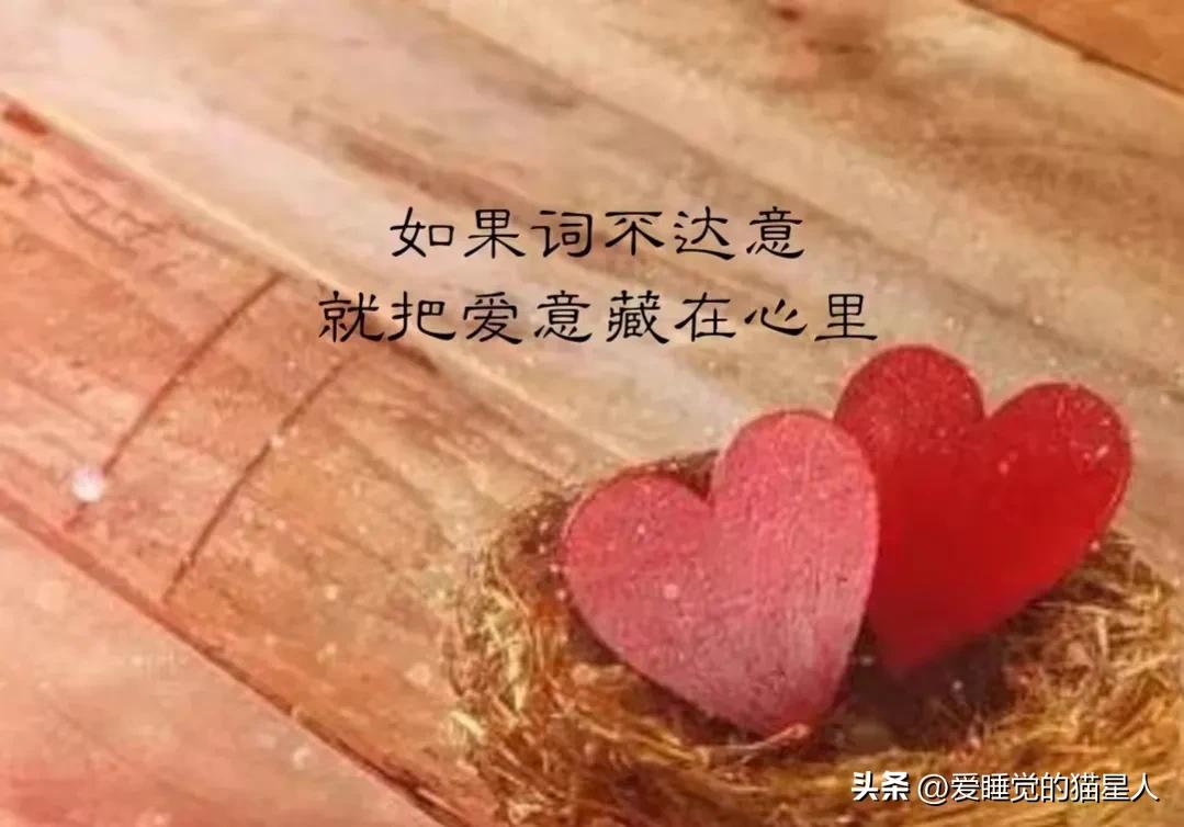 真正爱上一个人是从怕失去开始的,我不会爱上任何人因为我害怕失去