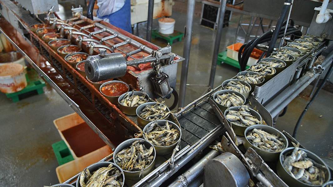 俄罗斯食品面临大量滞销,俄罗斯出现食品短缺了吗