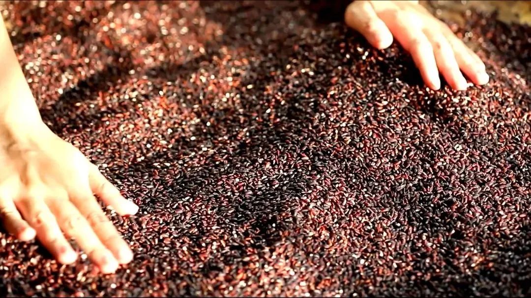 壮族三月三手工五色糯米饭,壮族三月三五色糯米饭如何制作