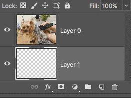 PS教程全套零基础教学视频,ps教程零基础视频教学第3集介绍