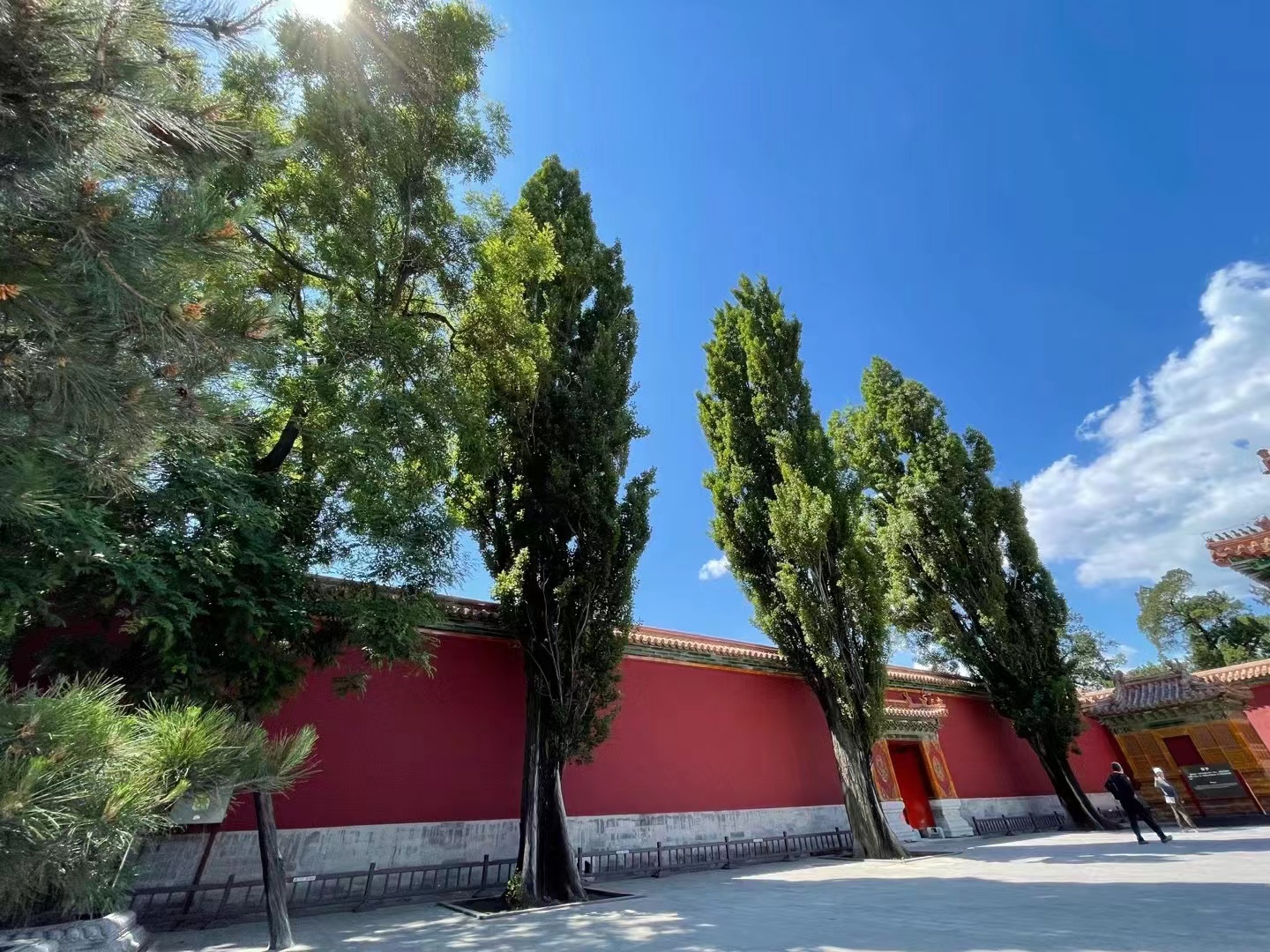 来北京一定要去一趟景山公园,北京景山公园春节风景