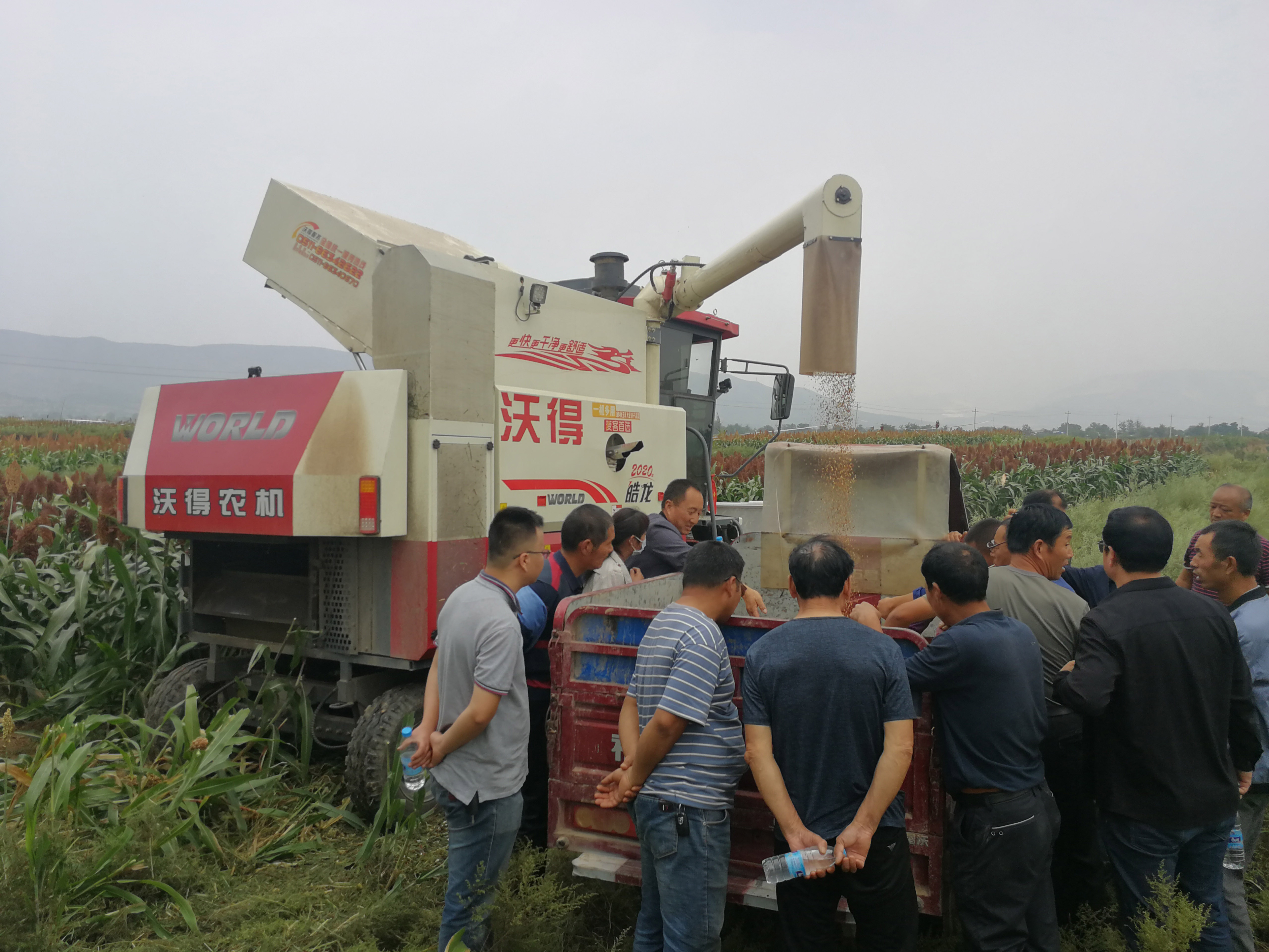 农业科技这十年丨冯佰利：深耕小杂粮成就品牌“天下知”