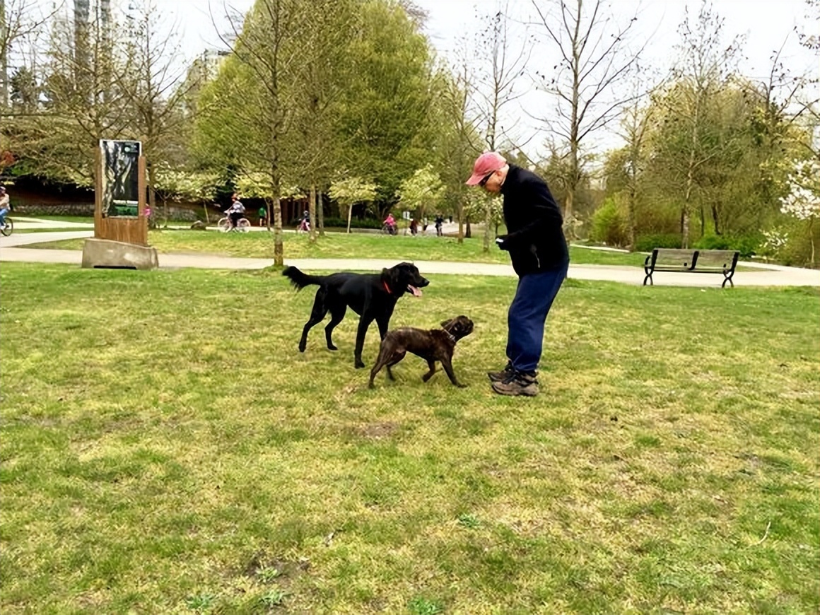 尊龙是公认世界4大美男子,尊龙说自己是亚洲第一美男