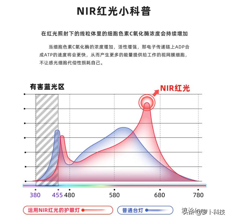 爱德华医生天使之光,爱德华医生天使之光怎么样