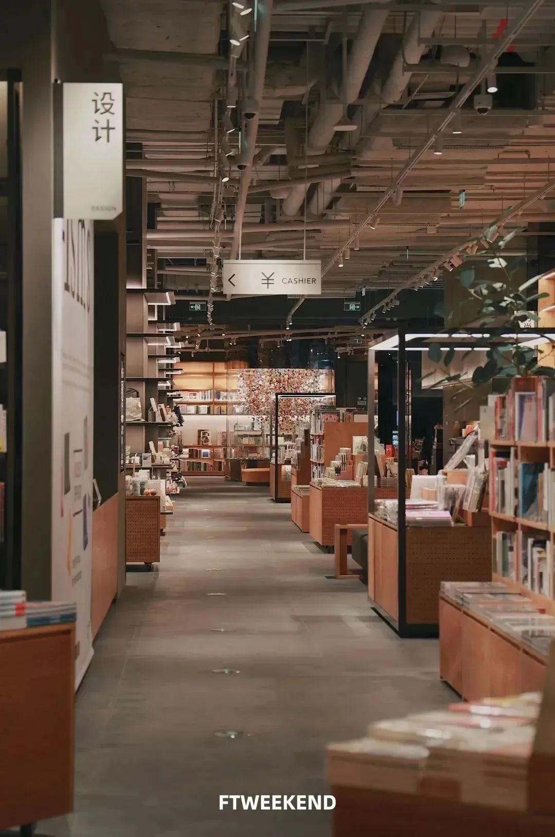 春天去哪儿玩？ABCD四条线路带你“狂飙”福田！