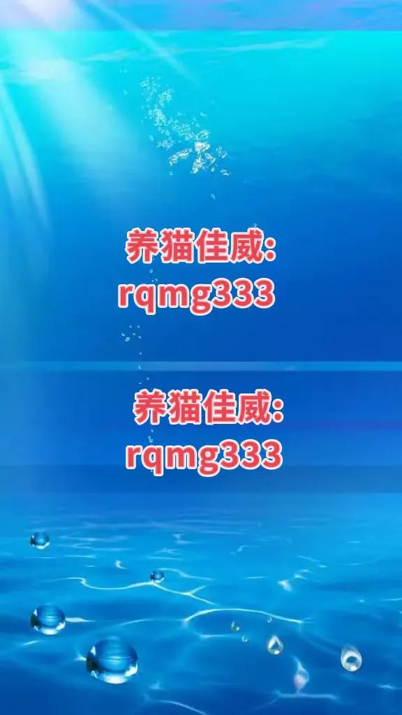 新手想养猫到底是领养还是购买,想养猫咪买什么样的
