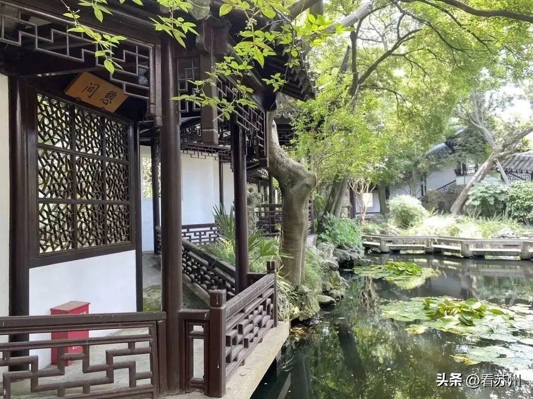 藏在居民区的超小众苏州园,苏州最值得去的深巷小园