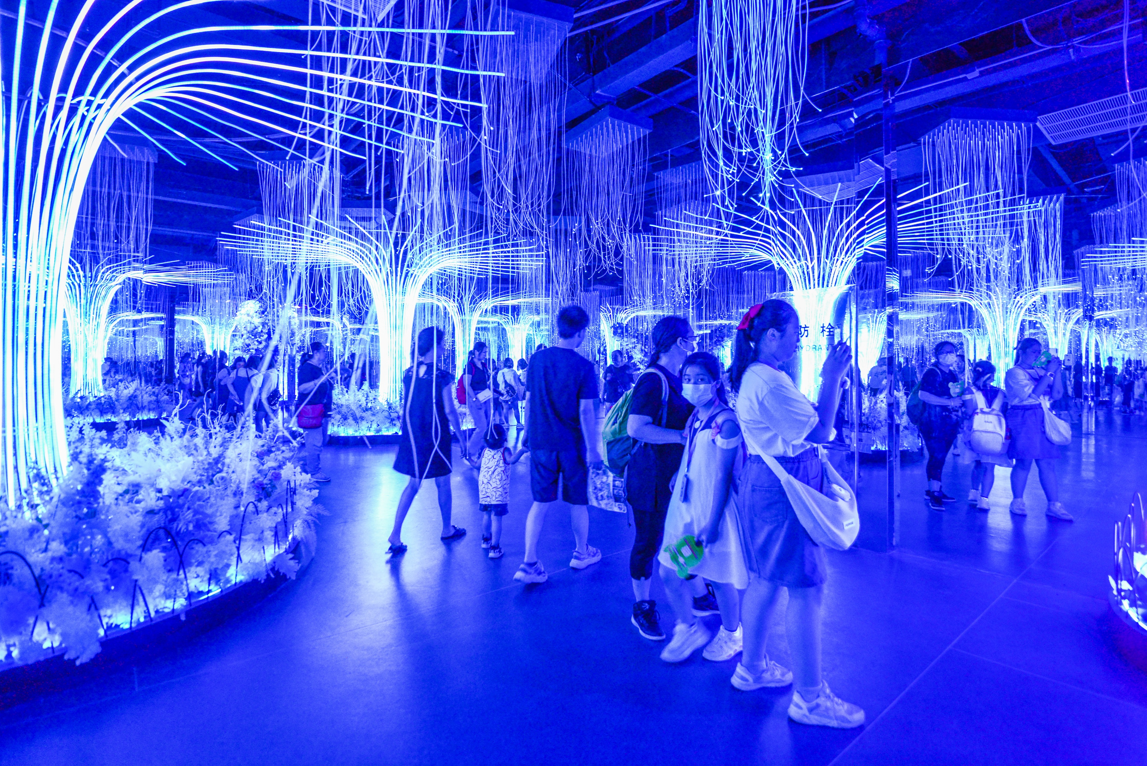 上海千古情一日游为美好而来,上海千古情之旅