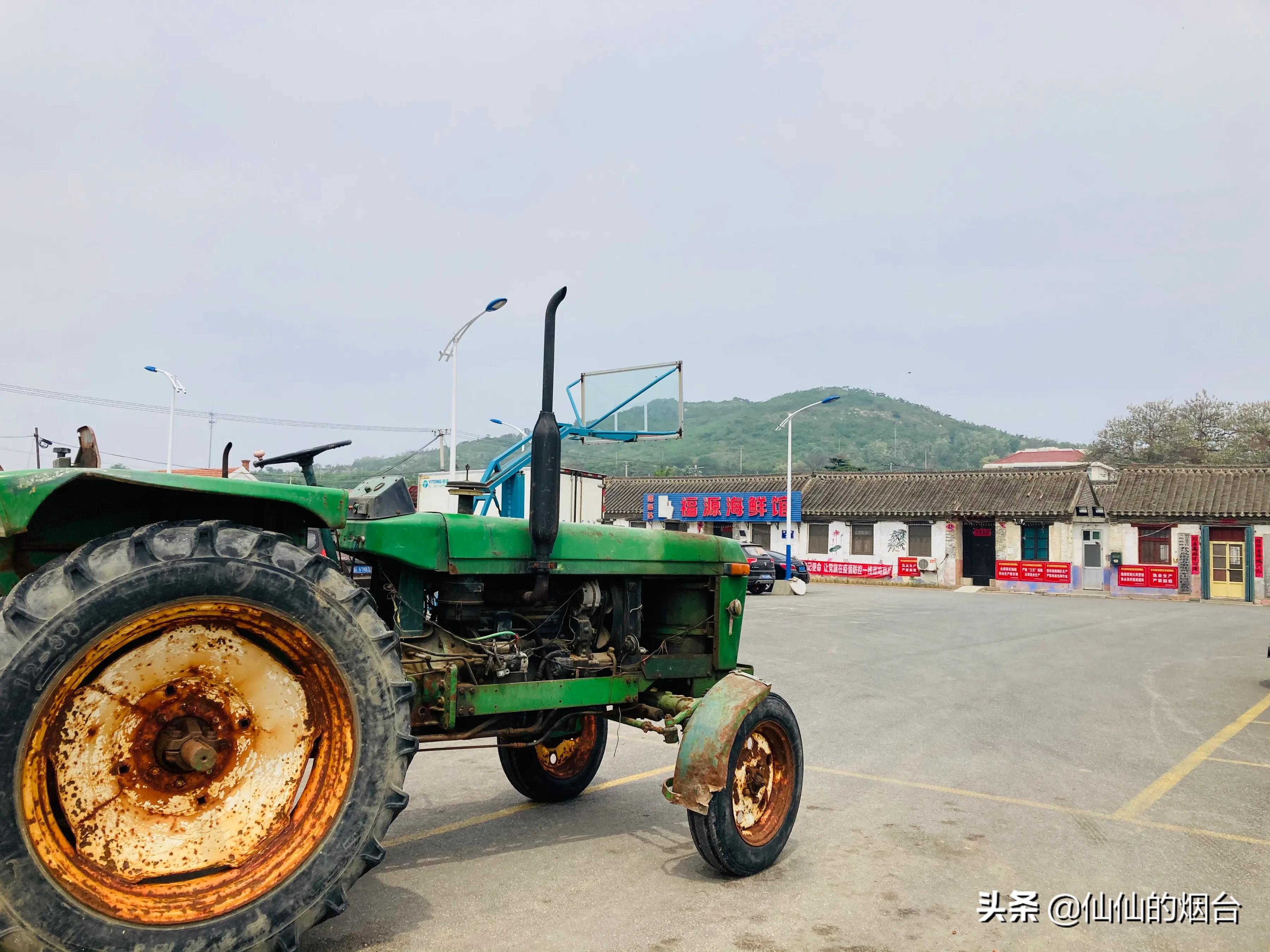 养马岛值得特意跑一趟吗,养马岛最值得看的几个地方