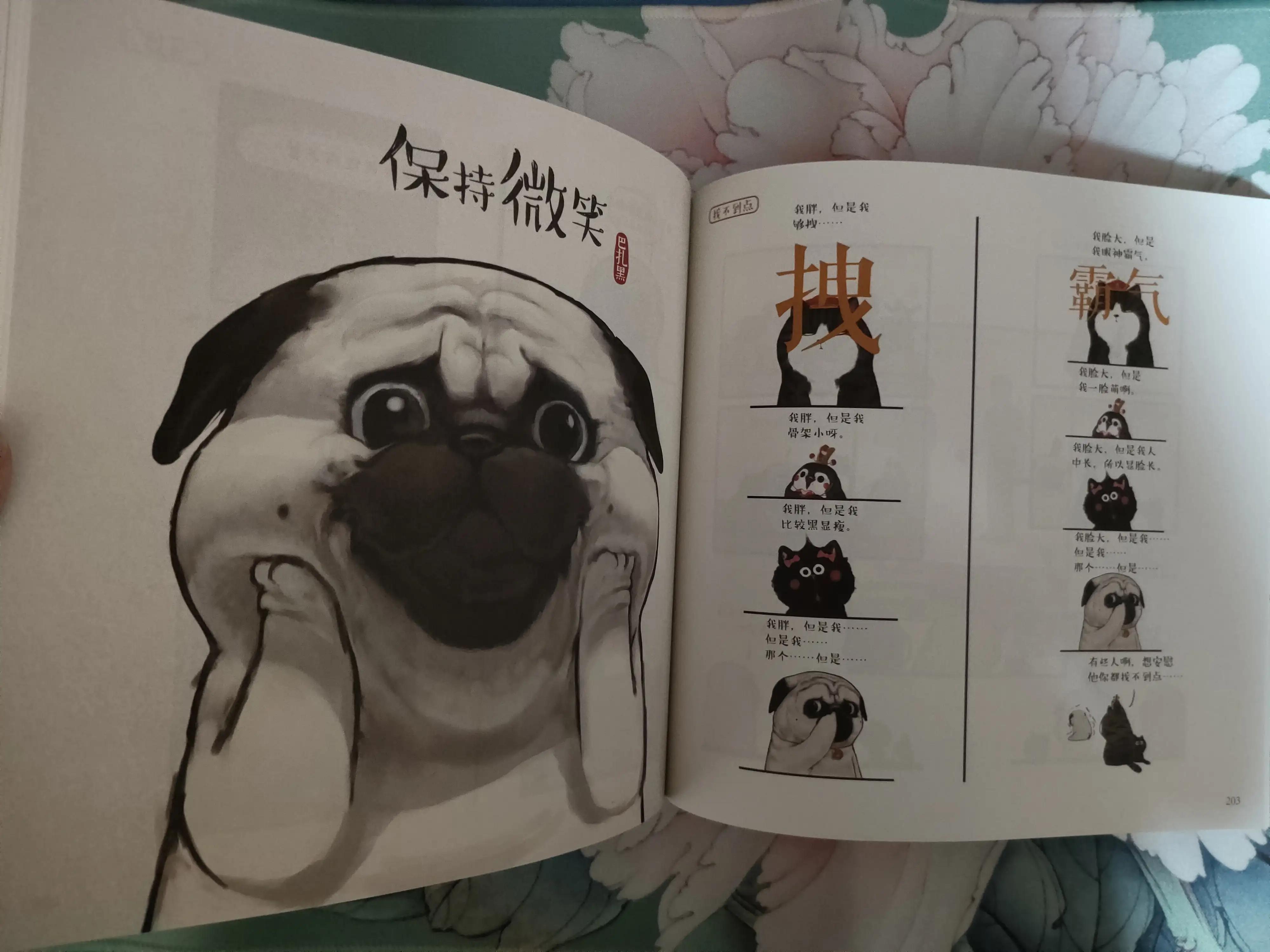 鍌插▏钀屼富鍚剧殗,鍌插▏钀屼富鍚剧殗椹惧埌