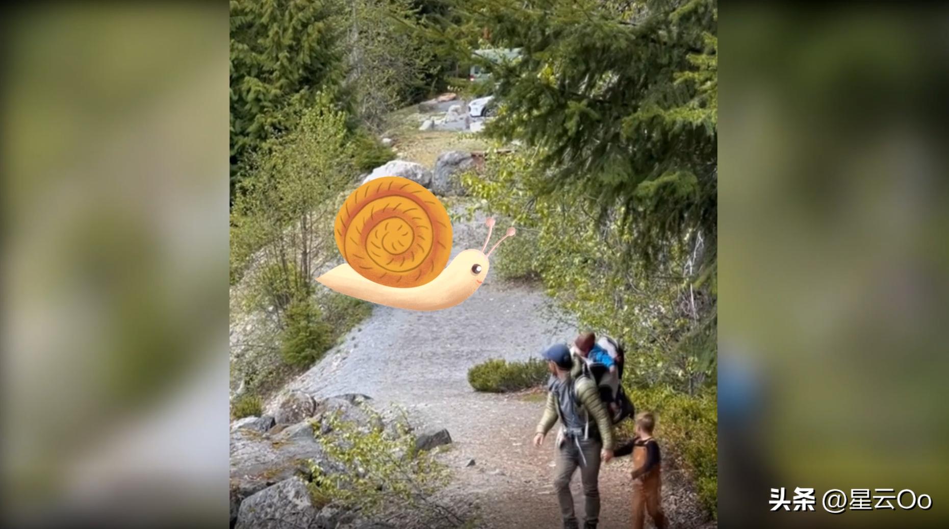 他被幽灵追杀4000公里，轰动美加两国的幽灵追杀案