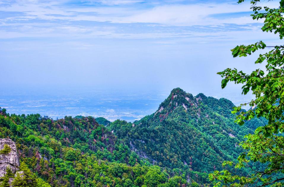 50岁女人脸部暗黄吃什么好,40岁的女人肤色暗黄改善食物