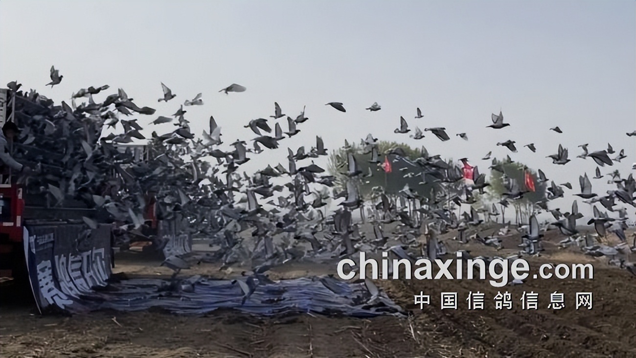 开尔春棚决赛亚军轨迹,开尔春棚决赛名单