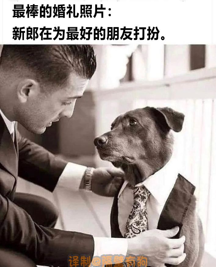 看完恐怖片不敢去最后一间厕所,看完恐怖片转移阵地